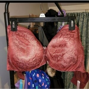 ❄️❄️ Cacique 44f bra